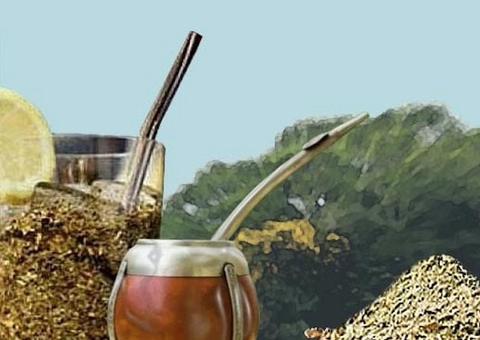 Você conhece o tereré? Bebida tem propriedades anti-inflamatórias naturais