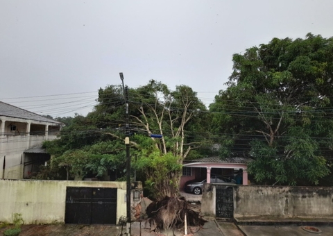 Temporal causa destruição e Defesa Civil registra 10 ocorrências em Manaus