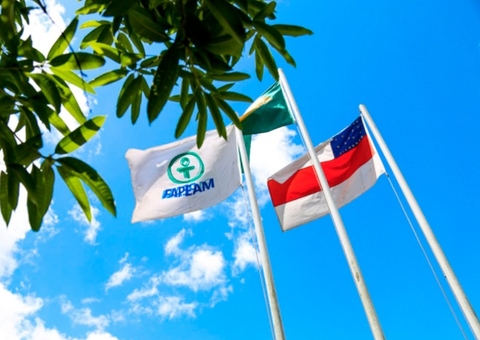 Governo anuncia reajuste de até 50% em bolsas de pesquisa da Fapeam