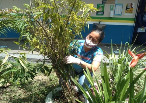 Projeto leva conhecimento sobre plantas medicinais para alunos da rede pública em Manaus