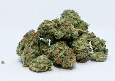 Venda de álcool e maconha é proibida para não vacinados e vacinação aumenta 300% no Canadá