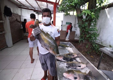 Pescadores de Fonte Boa faturaram R$ 423 mil nas feiras do pirarucu em 2021