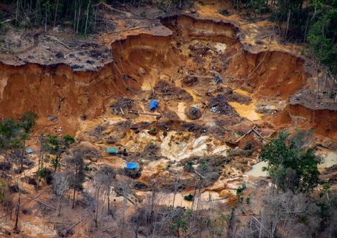 Filme negacionista sobre meio ambiente é um dos dez vídeos mais postados na web