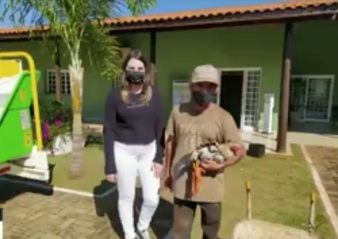 Galo preso por cantar de madrugada vira mascote e antigo dono ganha casa nova