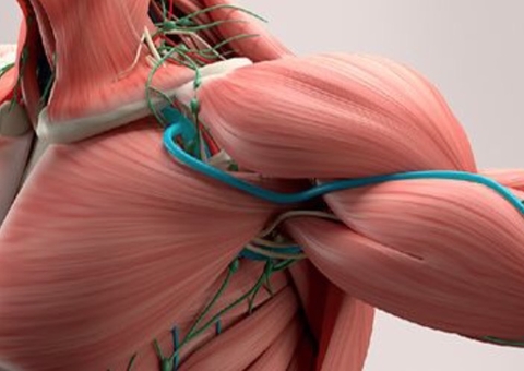 Saiba tudo sobre sequelas da Covid-19 que incluem lesão muscular e cansaço excessivo