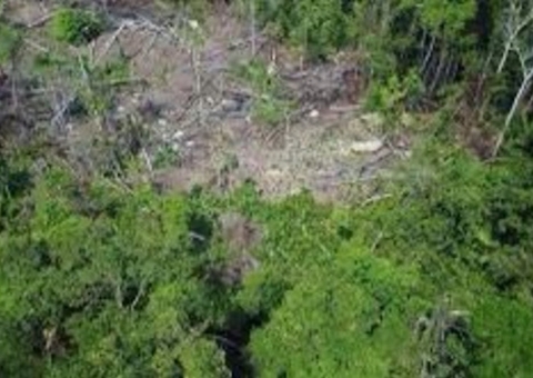 MPF recomenda que Funai adote medidas para proteger área de indígenas isolados em Lábrea