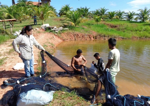 Projeto desenvolve autenticação genética de pescados no Amazonas