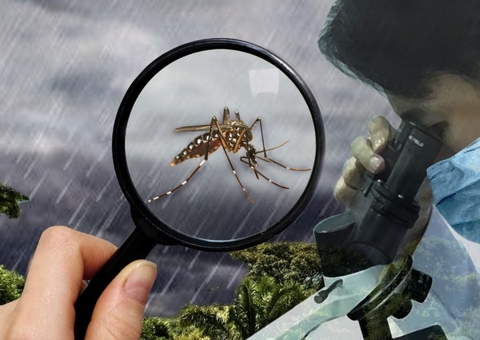 Infectologista faz alerta para o aumento de casos de dengue durante inverno