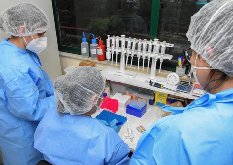 Estudo identifica proteínas associadas a lesões do câncer do colo do útero no Amazonas