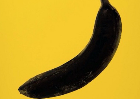 Homem injeta cocaína no pênis e membro apodrece