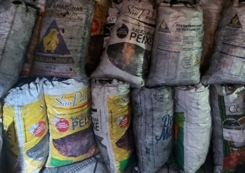 Polícia apreende carga ilegal de carvão vegetal em Manaus