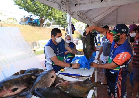 Feirão do pescado tem peixes a partir de R$ 8 em Manaus; saiba os locais