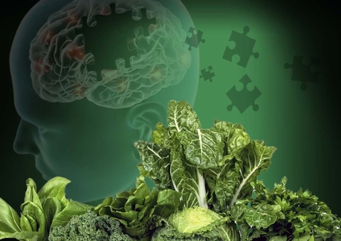 Estudo revela que Vitamina K protege contra Alzheimer; saiba em quais alimentos encontrar