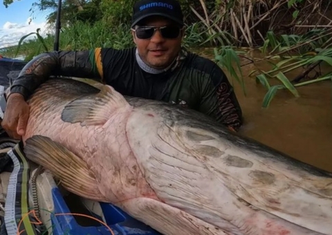 Pirarucu de 2 metros e mais de 100 kg é fisgado no rio Madeira