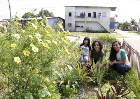 Em Codajás, professora transforma lixeira viciada em jardim