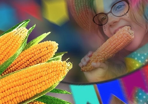 Rico em vitaminas e antioxidantes, confira os benefícios do milho à saúde