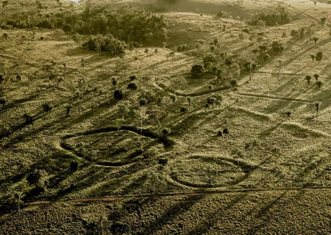 Geoglifos são encontrados durante sobrevoo no Acre; veja fotos