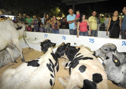 Expoagro acontece neste fim de semana em Manaus; veja programação