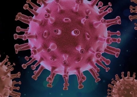 Nunca teve covid? Genética oferece proteção natural contra a doença, mostra estudo