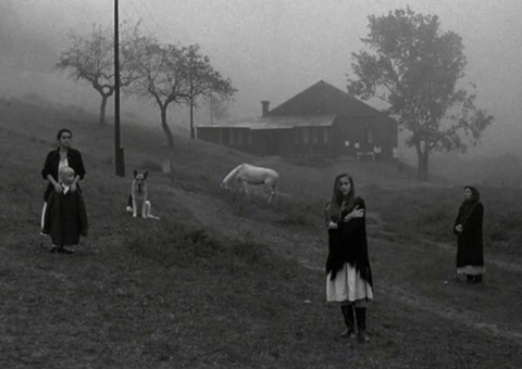 Festival de Cinema Italiano e Mostra de Cinema Peruano são atrações no Cine Casarão