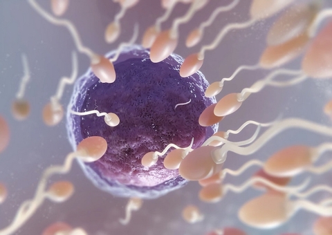 Confira 5 causas da queda na fertilidade masculina