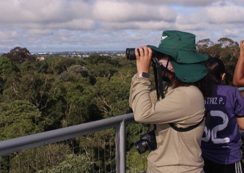 Museu da Amazônia terá valor promocional neste domingo em Manaus