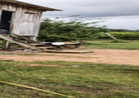 Mulheres são protagonistas do extrativismo na Amazônia