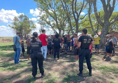 56 pessoas são resgatadas em situação de escravidão em plantação de arroz