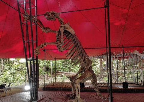 Exposição 'Passado Presente: Dinos e Sauros da Amazônia' ocorre neste sábado em Manaus