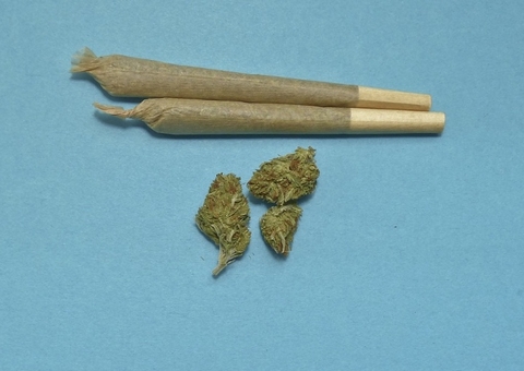 Casos de esquizofrenia em homens estão ligados ao uso contínuo de maconha, aponta estudo