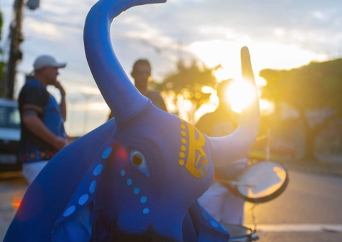 Ensaios para o 'Arraial do Boilevard' começam neste sábado em Manaus