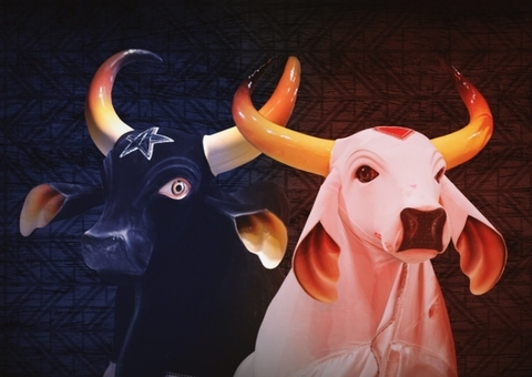 Festa 'Via Bumbá' tem shows gratuitos no ritmo de toadas em Manaus