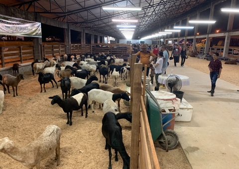 Feira de Agronegócios em Manaus tem cursos e palestras para o setor primário