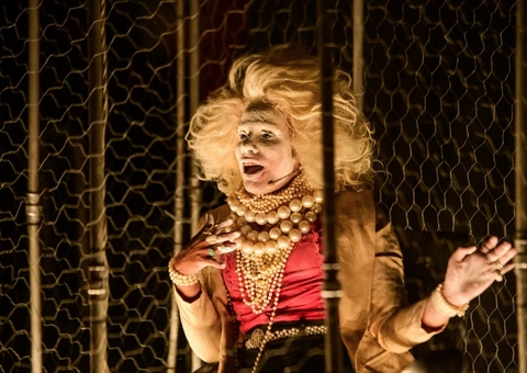 Festival de Teatro da Amazônia se apresenta em espaços culturais até domingo