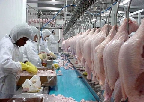 Arábia Saudita decide suspender compra de carnes de aves do Brasil
