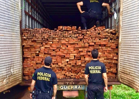 PF apreende carretas com 60 metros de madeira ilegal no Porto de Manaus 