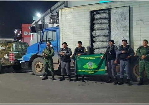 Carvão ilegal avaliado em R$ 16 mil é apreendido na AM-010