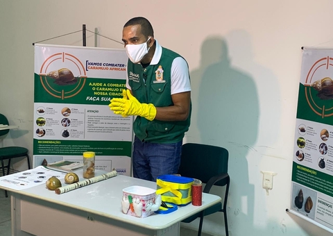 Manaus tem orientação para o combate ao caramujo africano