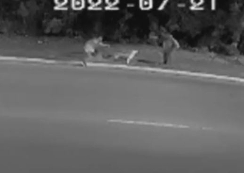 Vídeo: Cachorro morre a tiros tentando salvar seu dono de assaltante