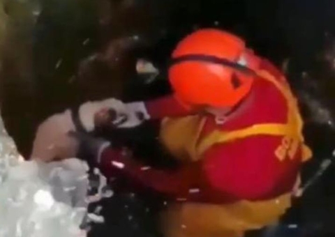 Corpo de Bombeiros resgata cachorro que morreria afogado em Manaus