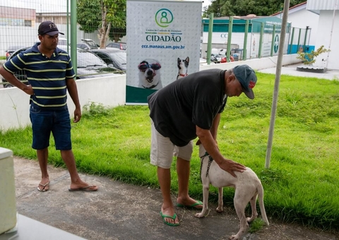 Calendário para agendamento de castração de cães e gatos é divulgado em Manaus