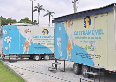 Castramóvel chega a Novo Airão; veja como agendar a castração do seu pet