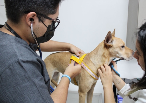 Castramóvel realiza primeiros atendimentos no interior do Amazonas