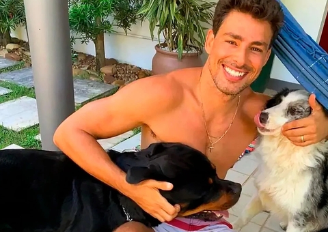 Polícia investiga envenenamento de 40 cães em área de luxo onde Cauã Reymond mora 