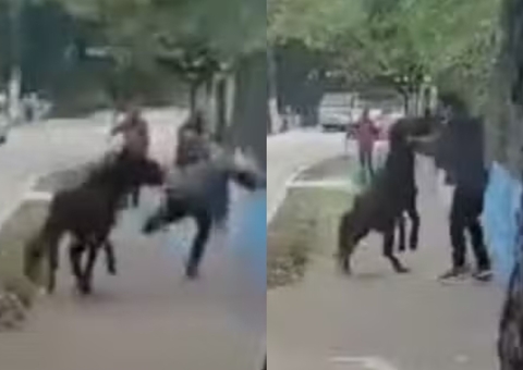 Vídeo mostra cavalo dando coices em homem no meio da rua