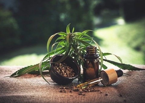 Purple Day: Legalização da cannabis medicinal no Brasil foi motivada por caso de epilepsia