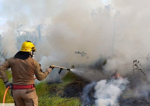 Mais de 22 mil focos de incêndio são registrados no Amazonas em 6 meses