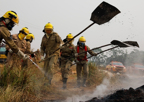 Em uma semana, municípios do interior do Amazonas registraram 362 focos de incêndio