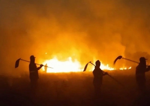 Plenário do Senado vai debater incêndios florestais e mudanças climáticas  