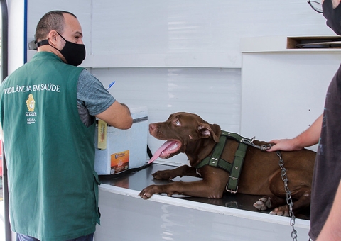 Agendamento de castração gratuita de cães e gatos ocorre nesta sexta em Manaus